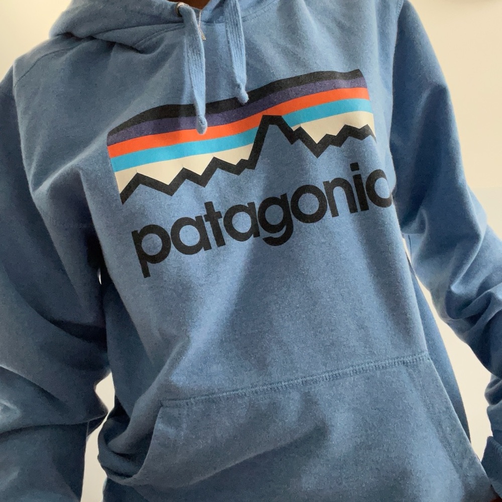 Blue Patagonia Hoodie